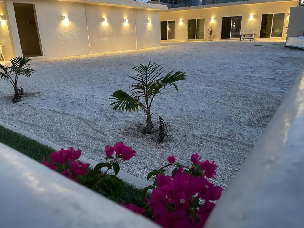 Palomar Villas Río Lagartos Esterno foto